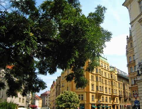 Prague-Quartier Juif.