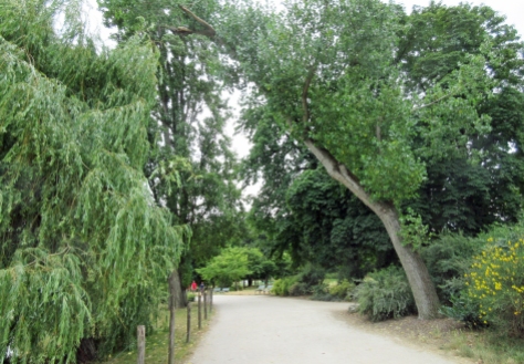 10.Paris 12-Bois de Vincennes-Lac Daumesnil-arbres.